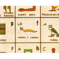 Zoom Sur Une Partie Du Papyrus - 31 Ko
