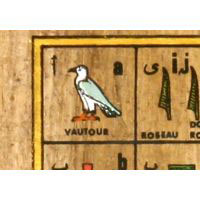 Zoom Sur Une Partie Du Papyrus - 28 Ko
