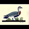 Peinture Sur Papier Type Canson : Oies De Meidoum