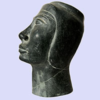 Tte De Nfertiti - 36 Ko