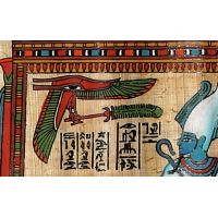 Zoom Sur Une Partie Du Papyrus - 24 Ko