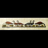 Papyrus Oies De Meidoum: 15,00 EUR - 27 Ko