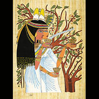 Papyrus Sycomore - 53&nbsp;Ko