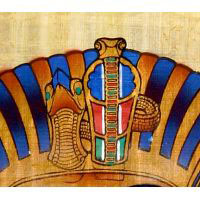 Zoom Sur Une Partie Du Papyrus - 38 Ko