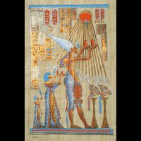 Papyrus Akhenaton - 20 Ko