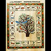 Papyrus Alphabet Hiroglyphique Avec Arbre De Vie