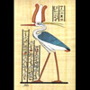 Papyrus Le Phoenix