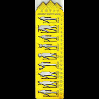 Rgle Pochoir Dieux Pharaoniques - 32 Ko