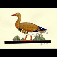 Peinture Sur Papier Type Canson : Oies De Meidoum