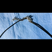 Collier Pendentif Amulette Scarabe - 35 Ko